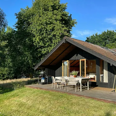 Modern 80s With A Wild Garden Holiday home *